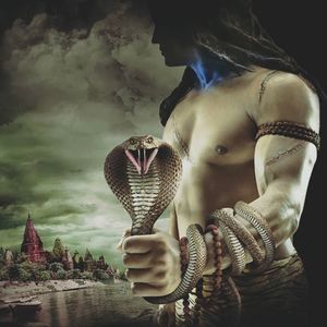 Meet your Posher, Ravi